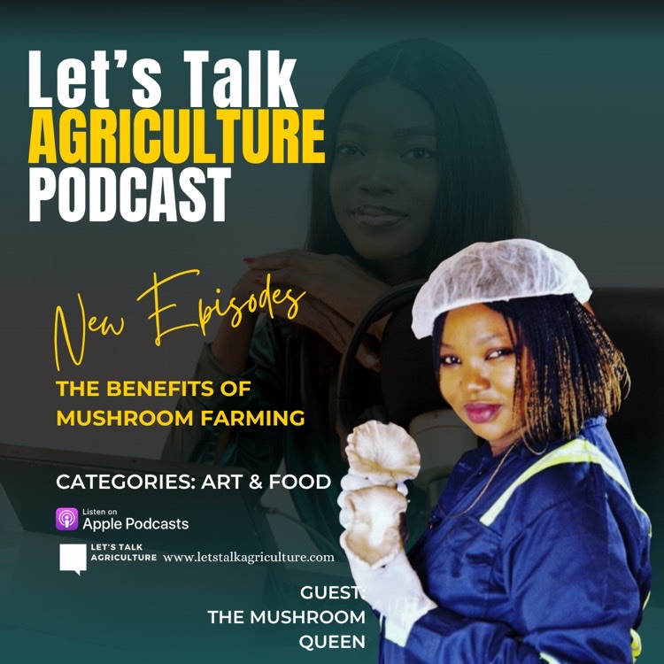 The Let’s Talk Agriculture Podcast