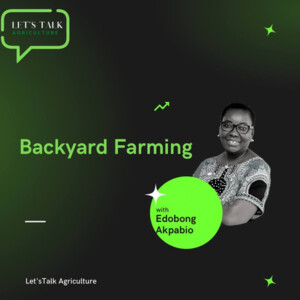 Episode 10: Backyard Farming with Edobong Akpabio