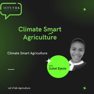 Episode 2: Climate Smart Agriculture with Juliet Ejieze