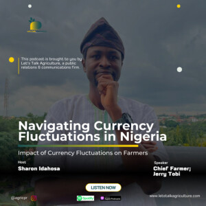 Navigating Currency Fluctuations in Nigeria: Farmer’s POV