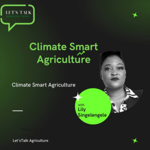 Episode 5: Climate Smart Agriculture with Lily Singelengele