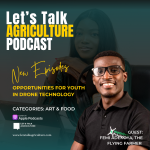 Opportunities for Youth in Drone Technology with Femi Adekoya