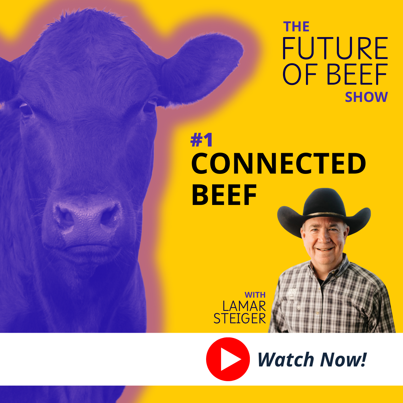 The Future of Beef Show