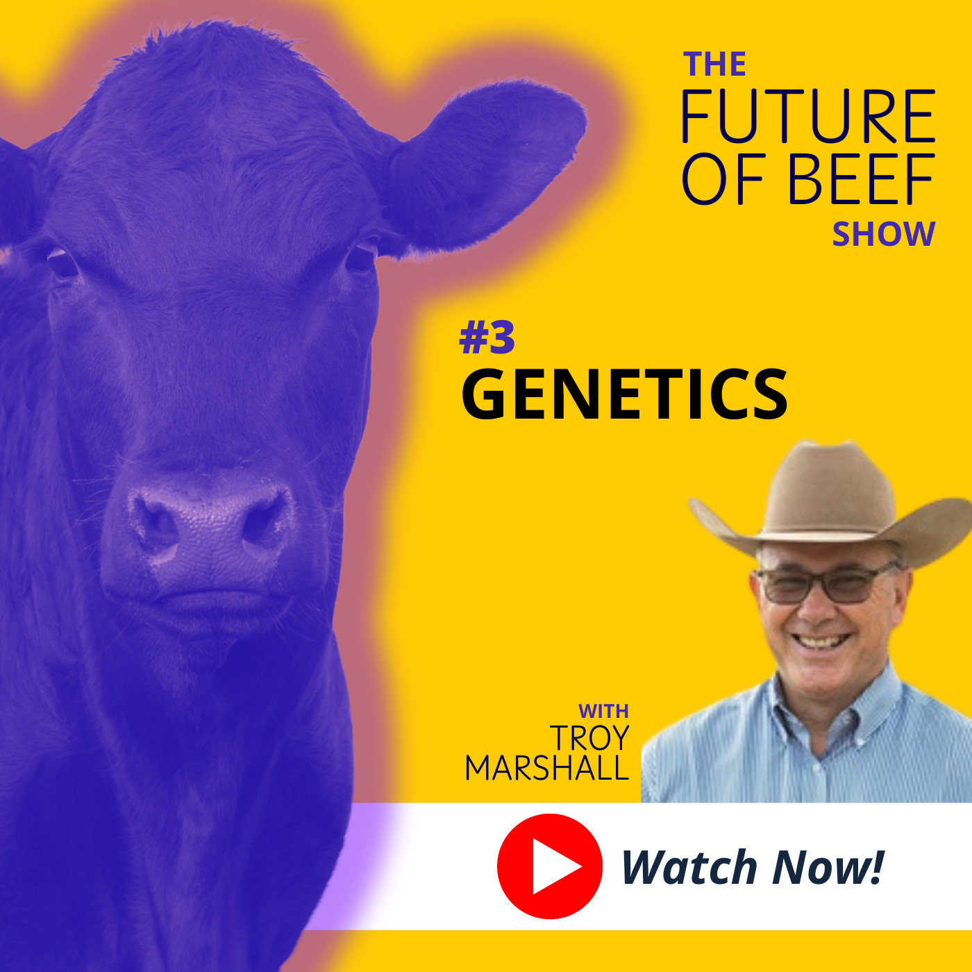 The Future of Beef Show