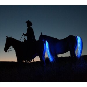 Tail Lights Update & Fences For Fido - LIVE!