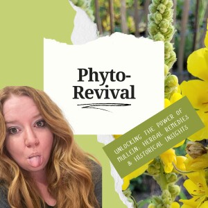 Unlocking the Power of Mullein: Herbal Remedies & Historical Insights