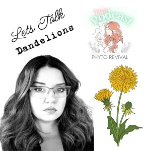 Discovering the Secrets of Dandelions