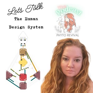 Unlocking the Secrets of the Human Design System