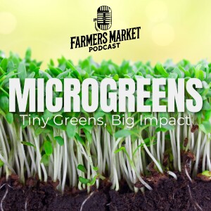 Tiny Greens, Big Impact plus the Perfect Tomato for Your Garden! FMP S3 E3