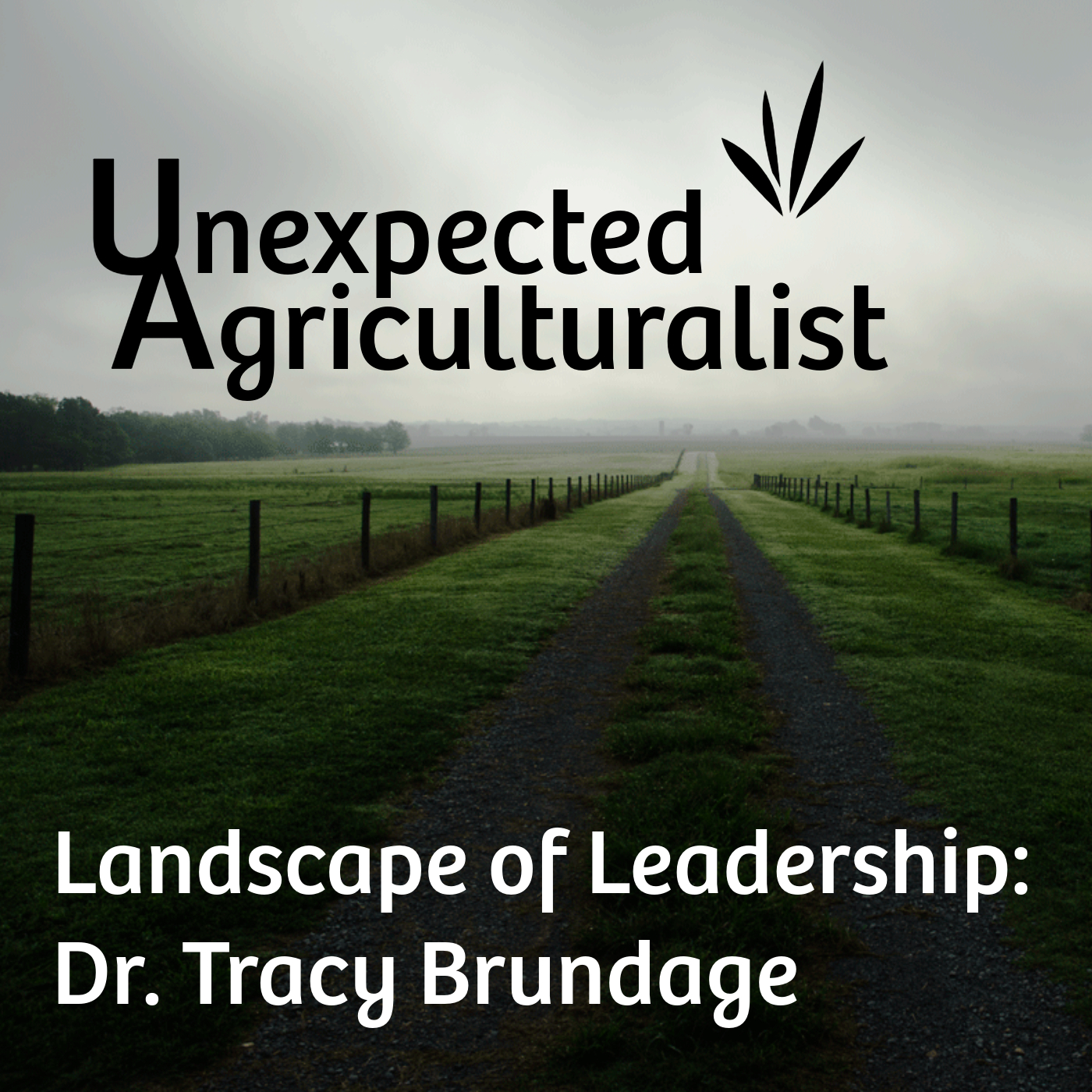UA presents Landscape of Leadership: Brundage