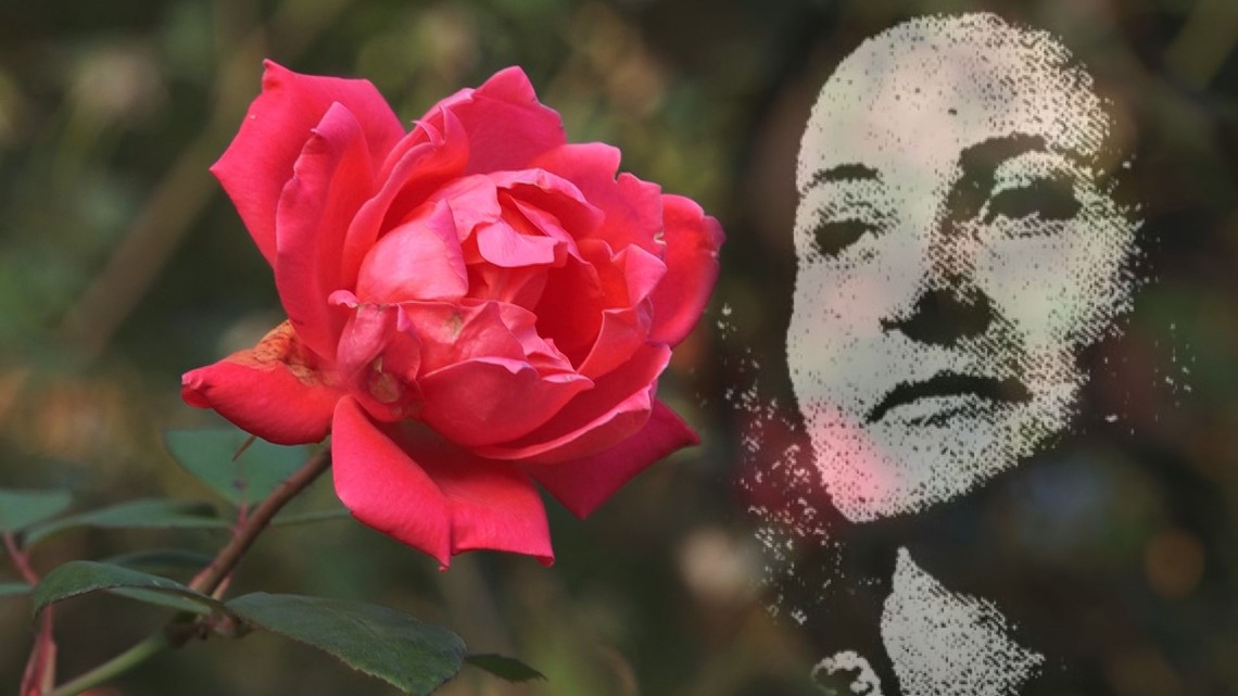 Rose Busch Murder Cold Case