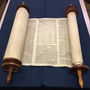 Take 5 For Torah Wednesday April 30th