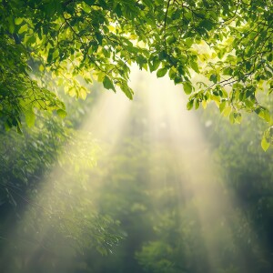 Hypnotherapy - Relaxation and Healing