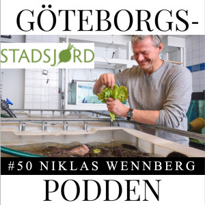 050. Urban Fish & Greenery med Niklas Wennberg, Stadsjord
