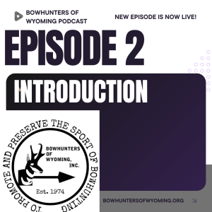 Introduction-BOW's New Podcast