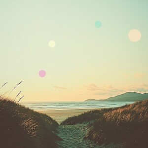 The Windswept Irish Beach | Sheltered by Marram Grass