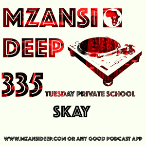 Session 335 TPS - Skay