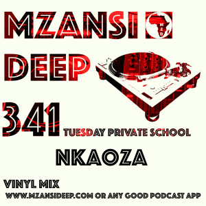 Session 341 TPS - Nkaoza - Soulful & Deep House Classics Vinyl Mix