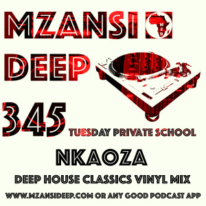 Session 345 TPS - Nkaoza - Vinyl Mix - Deep House Classics