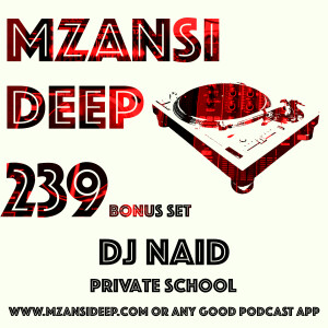 Session 239 - BONUS HOUR - DJ Naid - PRIVATE SCHOOL