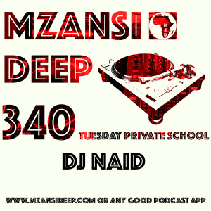 Session 340 TPS - DJ Naid - Soulful House Classics - Remixes