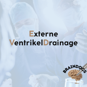 Externe Ventrikeldrainage