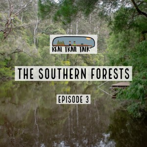 Episode 3 - The Southern Forests