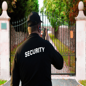 Top Areas that Security Guards Focuses and Addresses