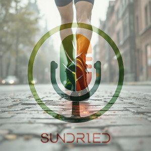 Sundried Brick Workouts Explained: Training, Benefits, and How-To