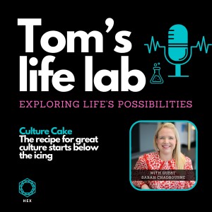 Episode 11: Culture Cake: The recipe for great culture starts below the icing with Sarah Chadbourne