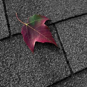 Timing is Everything: Best Season to Replace Your Roof in Texas