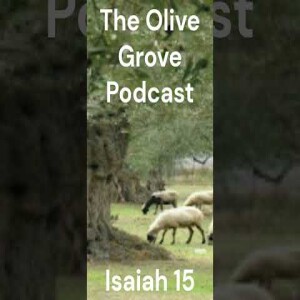 The Olive Grove Podcast Isaiah 15 Discussion