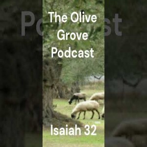 The Olive Grove Podcast Isaiah 32 Discussion
