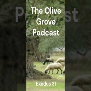 The Olive Grove Podcast: Exodus 31 Discussion