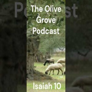 The Olive Grove Podcast Isaiah 10 Discussion