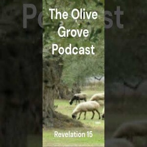 The Olive Grove Podcast Revelation 15 Discussion