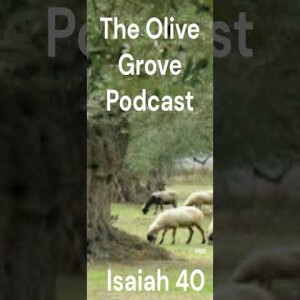 The Olive Grove Podcast Isaiah 40 Discussion