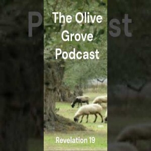 The Olive Grove Podcast Revelation 19 Discussion