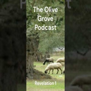 The Olive Grove Podcast Revelation 1 Discussion