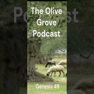 The Olive Grove Podcast: Genesis 49 Discussion
