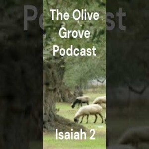 The Olive Grove Podcast Isaiah 2 Discussion