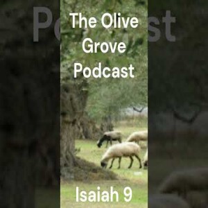 The Olive Grove Podcast Isaiah 9 Discussion