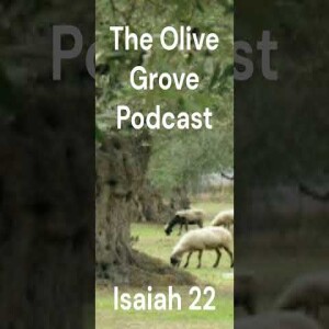 The Olive Grove Podcast Isaiah 22 Discussion