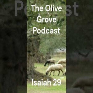The Olive Grove Podcast Isaiah 29 Discussion
