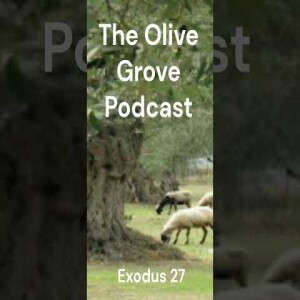 The Olive Grove Podcast: Exodus 27 Discussion
