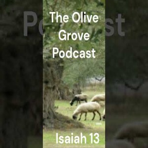 The Olive Grove Podcast Isaiah 13 Discussion