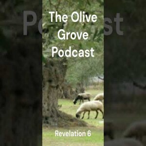 The Olive Grove Podcast Revelation 6 Discussion