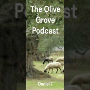 The Olive Grove Podcast Daniel 7 Discussion
