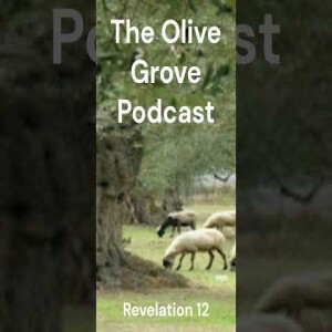 The Olive Grove Podcast Revelation 12 Discussion