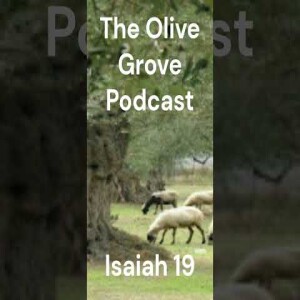The Olive Grove Podcast Isaiah 19 Discussion